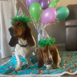 Meet your Posher, Delynda